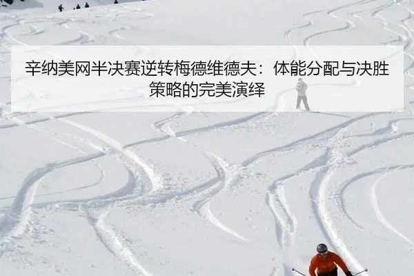 xin-na-mei-wang-ban-jue-sai-ni-zhuan-mei-de-wei-de-fu-ti-neng-fen-pei-yu-jue-sheng-ce-lve-de-wan-mei-yan-yi-2-774.jpg