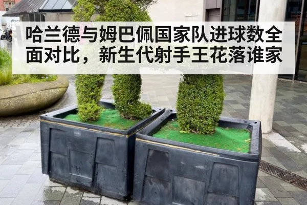 哈兰德与姆巴佩国家队进球数全面对比，新生代射手王花落谁家