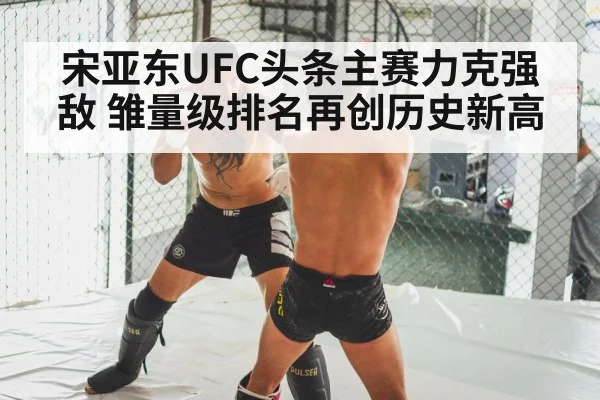 MMA knockout punch