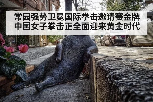 常园强势卫冕国际拳击邀请赛金牌 中国女子拳击正全面迎来黄金时代