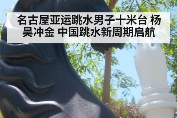 名古屋亚运跳水男子十米台 杨昊冲金 中国跳水新周期启航